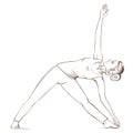 Yoga. The girl stands in the utthita trikonasana pose. Contour drawing of a girl who goes in for sports.