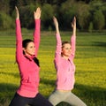 Yoga Girls on the background field of yellow flowers. Royalty Free Stock Photo