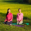 Yoga Girls on the background field of yellow flowers. Royalty Free Stock Photo