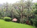 Yoga hut in Balinese hotel garden