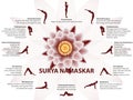 Yoga infographics, Surya Namaskar sequence