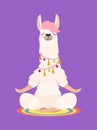 Yoga llama meditates isolated on purple background. Vector illustration.