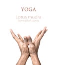 Yoga lotus mudra Royalty Free Stock Photo