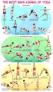 30 Yoga Main Asans