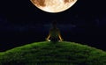 Yoga Moonrise Royalty Free Stock Photo