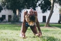 Yoga - outdoors young beautiful slender woman yoga instructor doing camel pose Ustrasana asana exercise outdoors. Royalty Free Stock Photo