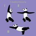 Yoga panda bear virabhadrasana pose Royalty Free Stock Photo