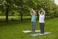 Senior family couple on summer day doing yoga exercises outdoors in the park. Royalty Free Stock Photo