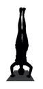 Yoga pose headstand female silhouette. vector isolated