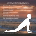 Yoga pose infographics, benefits of practice