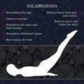 Yoga pose infographics, benefits of practice