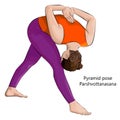 Yoga pose. Parshvottanasana. Royalty Free Stock Photo