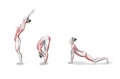 Yoga poses, asans Royalty Free Stock Photo