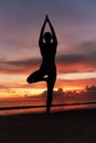 Yoga Poses. Woman Practicing Vrikshasana On Ocean Beach. Female Silhouette Standing In Tree Pose Balancing Asana. Royalty Free Stock Photo