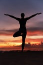 Yoga Poses. Woman Standing In Tree Pose Balancing Asana On Ocean Beach. Female Silhouette Practicing Vrikshasana. Royalty Free Stock Photo