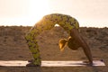 Yoga practice. Woman doing bridge pose Royalty Free Stock Photo