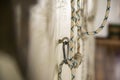 Yoga ropes hanging on empty studio wall. Iyengar yoga