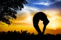 Yoga silhouette tiriang mukhottanasana pose Royalty Free Stock Photo