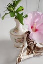 Yoga skeleton flower head and Flower bud of a purple rhodendrum bush in a mini vase