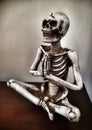 Yoga Skelton
