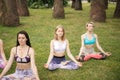 Group of young people have meditation on yoga class. Yoga concept. Royalty Free Stock Photo