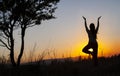 Yoga tree pose by woman silhouette with sunset. Virabhadrasana, Hatha