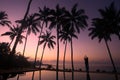 Yoga under the coconut trees Royalty Free Stock Photo