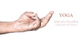 Yoga Varun mudra Royalty Free Stock Photo