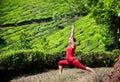 Yoga warrior pose in tea plantations