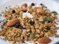 Yoghurt bowl with muesli granola close up. Royalty Free Stock Photo