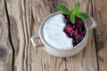 Yoghurt Bowl with wild berries and a mint leaf Royalty Free Stock Photo