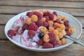 Yoghurt muesli with fresh raspberries, currants and strawberries. Royalty Free Stock Photo