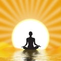 Yogi meditating Royalty Free Stock Photo