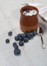 Yogourt with blueberries Royalty Free Stock Photo