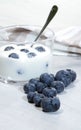 Yogourt with blueberries Royalty Free Stock Photo