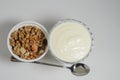 Yogurt in a beautiful glass bowl next to a box of granola