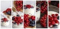 Yogurt with berries, cranberries and raspberries