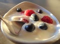 Yogurt and berries with a spoon, close up. Royalty Free Stock Photo