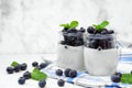 Yogurt with blueberries in jars, side view scene against white marble