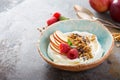 Yogurt bowl with raspberry and granola Royalty Free Stock Photo