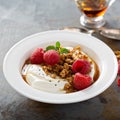 Yogurt bowl with raspberry and maple syrup Royalty Free Stock Photo