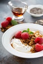 Yogurt bowl with raspberry and maple syrup Royalty Free Stock Photo