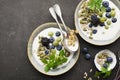 Yogurt for breakfast with fresh blueberries, gooseberries, sunflower seeds and pumpkin. Top View. Royalty Free Stock Photo