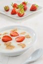 Yogurt, cereal and strawberries Royalty Free Stock Photo