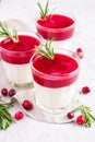 Yogurt and cranberry dessert in glasse
