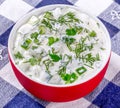 Yogurt cucumber dill salad in a red bowl on a napkin, close-up