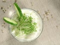 Yogurt with cucumber and watercress Royalty Free Stock Photo