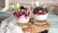 Yogurt desert Royalty Free Stock Photo