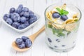 Yogurt dessert with blueberry, kiwi and cereals Royalty Free Stock Photo