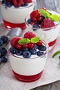 Yogurt dessert with jelly and fresh berries Royalty Free Stock Photo